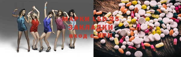 гашик Богданович