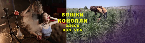 трава Богородицк