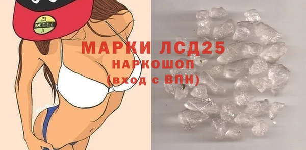 гашик Богданович