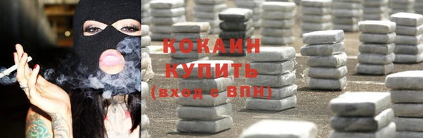 гашик Богданович