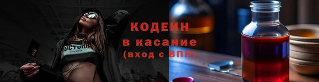 гашик Богданович