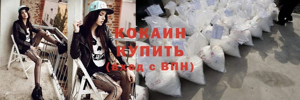 spice Богородск